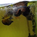 VideoCapture_20220318-175739