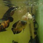 VideoCapture_20220318-175744