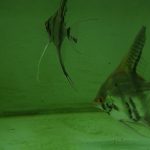 VideoCapture_20220318-223541