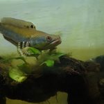 VideoCapture_20220318-223644