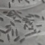 WhatsApp Image 2020-12-04 at 13.20.10 (1)